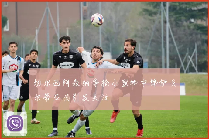 切尔西阿森纳争抢小蜜蜂中锋伊戈尔蒂亚戈引发关注