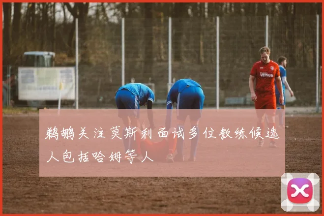 鹈鹕关注莫斯利面试多位教练候选人包括哈姆等人