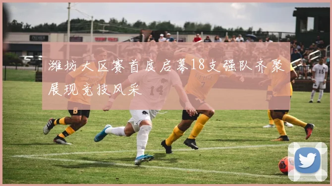 潍坊大区赛首度启幕18支强队齐聚展现竞技风采
